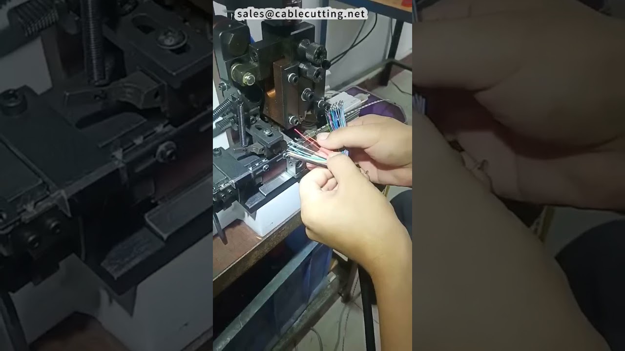 Máy tuốt dây và bấm đầu cốt tốc độ cao cho dây 40 lõi - Demo thực tế