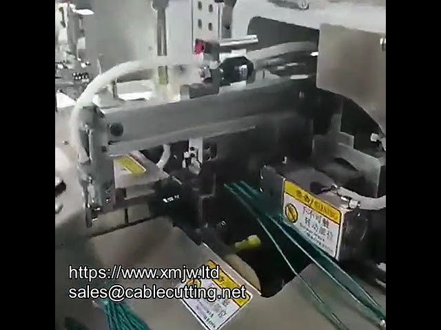 Máy nhúng thiếc hai đầu tự động hoàn toàn - Dây chuyền cắt, tước, xoắn 10 sợi dây điện